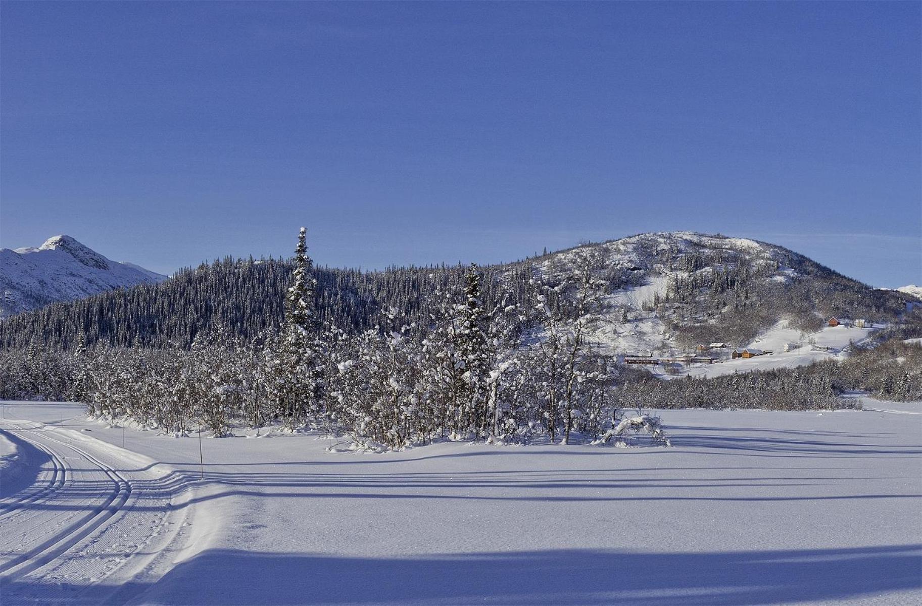 Hotel Gronolen Fjellgard Beitostolen Zewnętrze zdjęcie