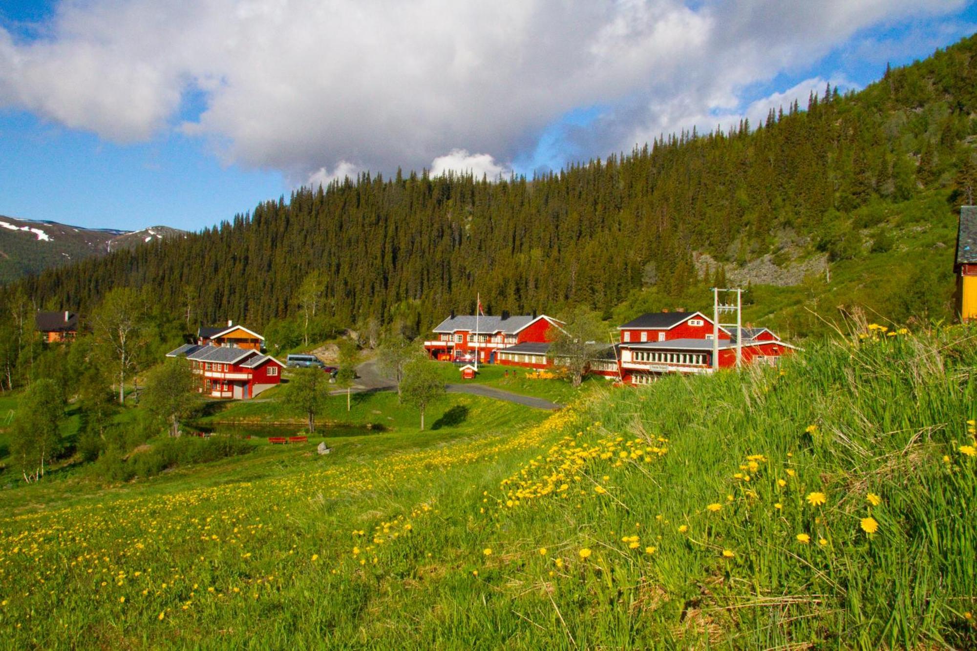 Hotel Gronolen Fjellgard Beitostolen Zewnętrze zdjęcie