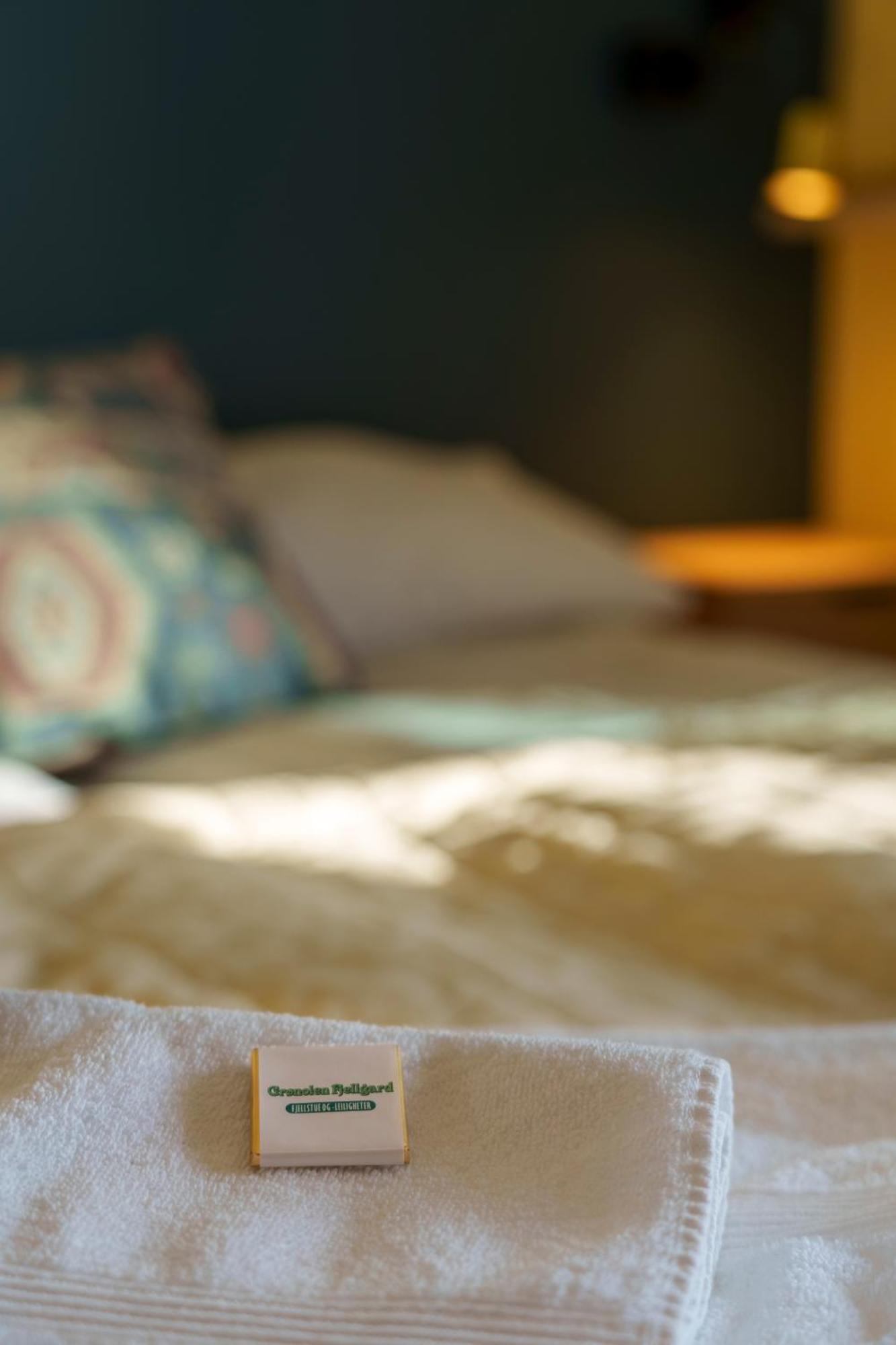 Hotel Gronolen Fjellgard Beitostolen Zewnętrze zdjęcie